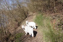 Coralie & Keona beim Spazieren gehen